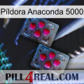 Píldora Anaconda 5000 14